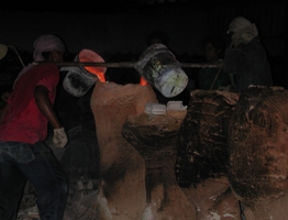 Step 6: Casting.