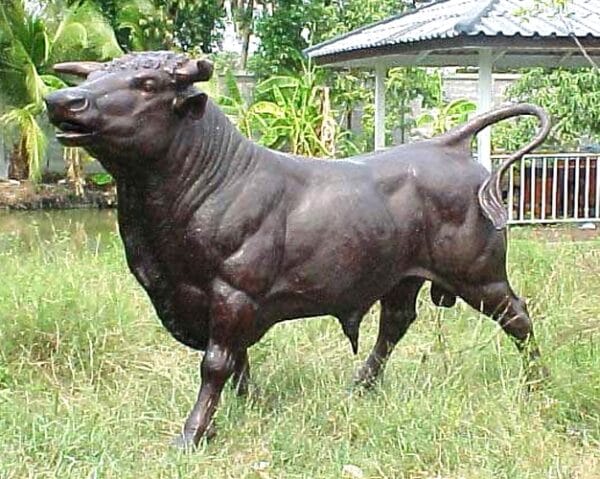 Life-Sized Bronze Bull Mascot Statue
