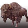 Bronze Life-Sized Bison Bull Mascot Statue